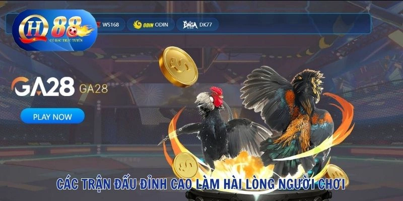 Các trận đấu đỉnh cao làm hài lòng người chơi