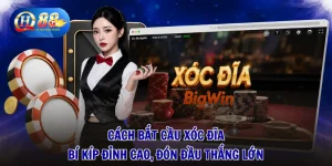 Cách Bắt Cầu Xóc Đĩa - Bí Kíp Đỉnh Cao, Đón Đầu Thắng Lớn