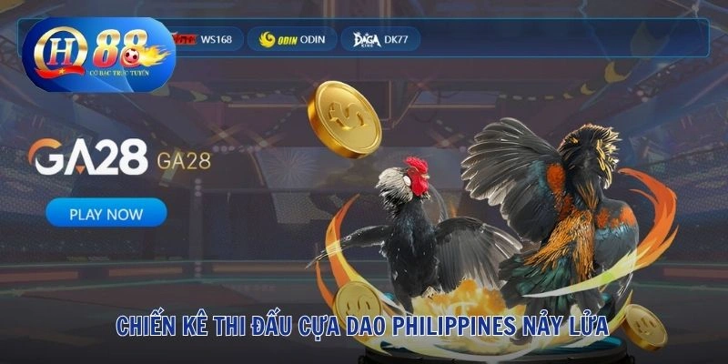 Chiến kê thi đấu cựa dao Philippines nảy lửa
