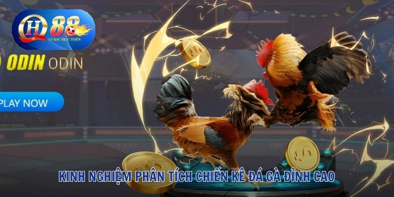 Kinh nghiệm phân tích chiến kê đá gà đỉnh cao