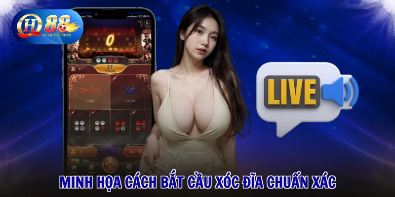 Cách bắt cầu xóc đĩa chuẩn xác newbie cần biết